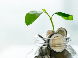 Financial Models