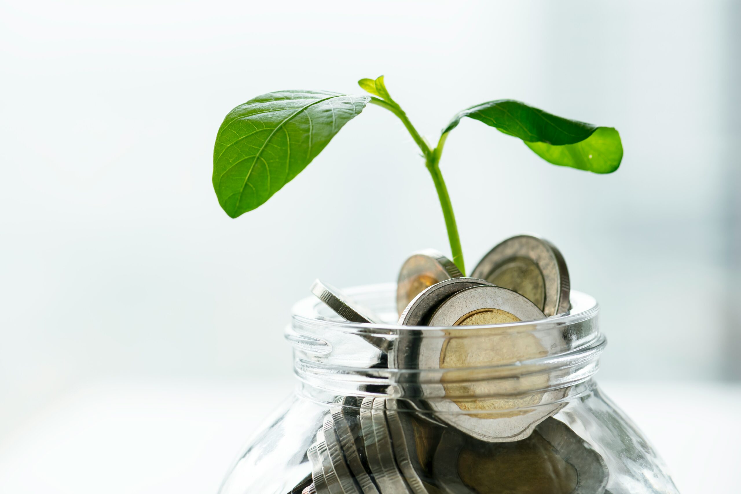 Financial Models