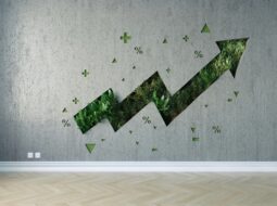 Building Robust Financial Models That Win Investor Confidence