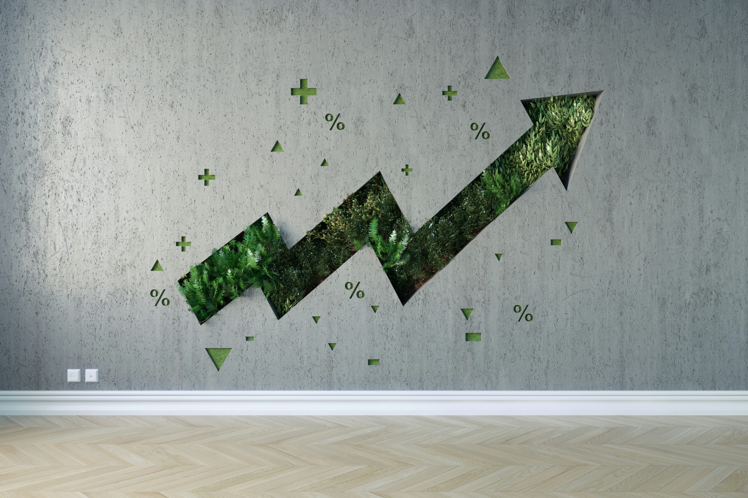 Building Robust Financial Models That Win Investor Confidence
